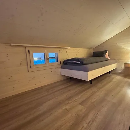 Alpenchalet Haldeli Apartment Gstaad