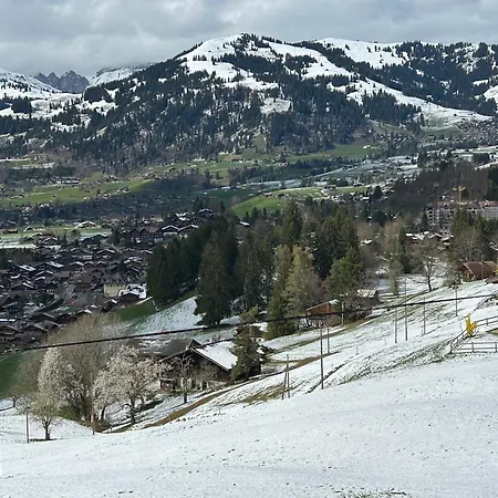 Apartment Alpenchalet Haldeli *
