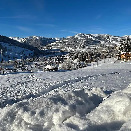 Alpenchalet Haldeli In