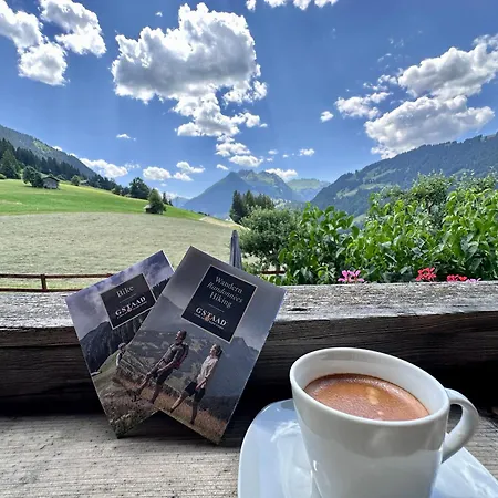 公寓 Alpenchalet Haldeli