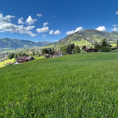 Alpenchalet Haldeli Gstaad