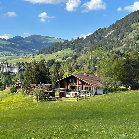 Alpenchalet Haldeli * Gstaad