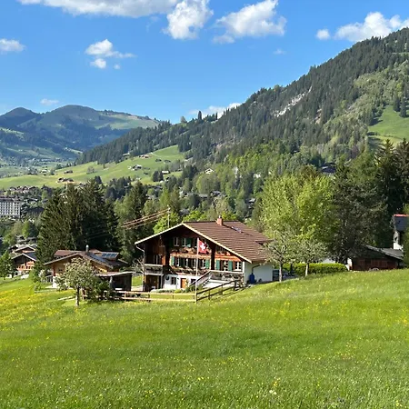 Apartment Alpenchalet Haldeli *