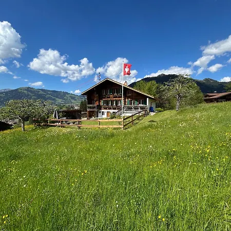 Alpenchalet Haldeli Apartment Gstaad