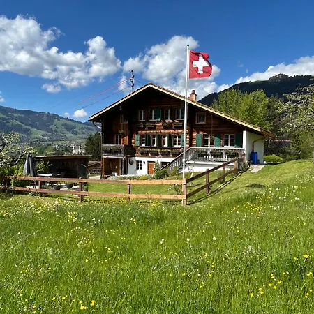 Apartment Alpenchalet Haldeli Gstaad