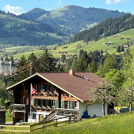 Alpenchalet Haldeli Apartment Gstaad