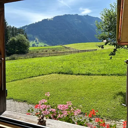 Appartement Alpenchalet Haldeli Gstaad