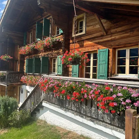 Appartement Alpenchalet Haldeli *