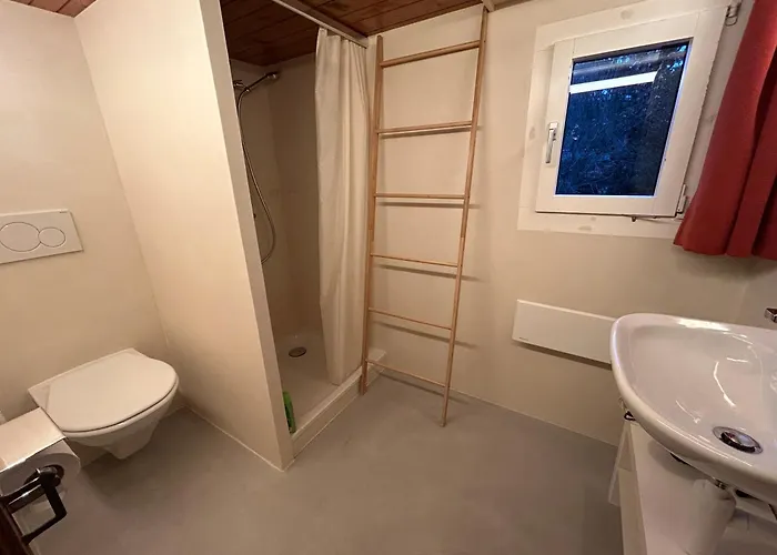 Apartment Alpenchalet Haldeli In Gstaad