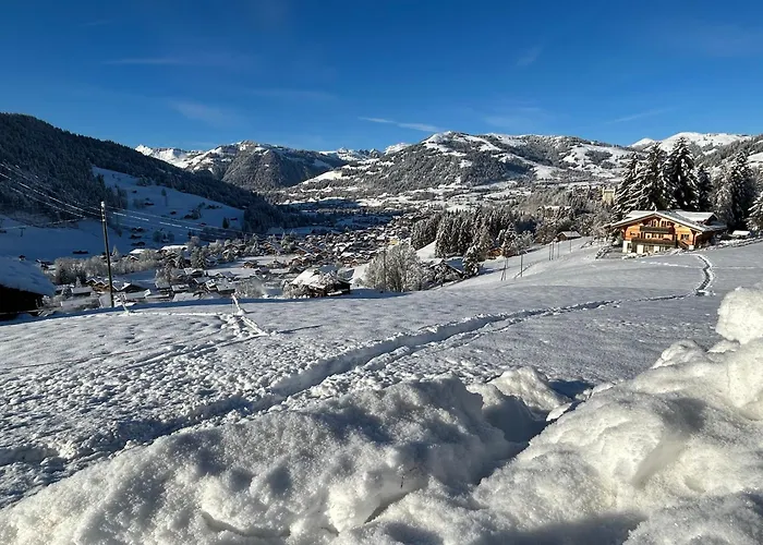 Alpenchalet Haldeli In