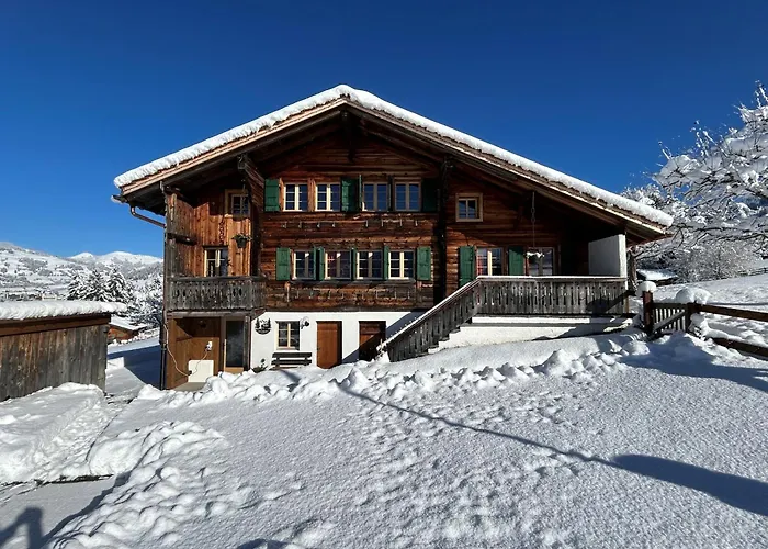 Alpenchalet Haldeli In *