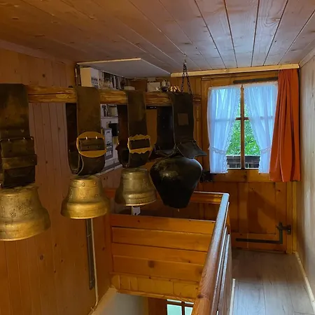 Apartment Alpenchalet Haldeli *