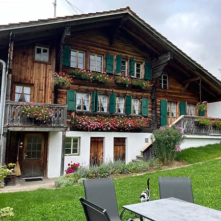 Apartment Alpenchalet Haldeli Gstaad