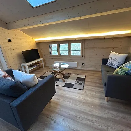 Apartment Alpenchalet Haldeli Gstaad