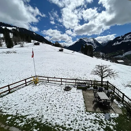 Alpenchalet Haldeli Gstaad