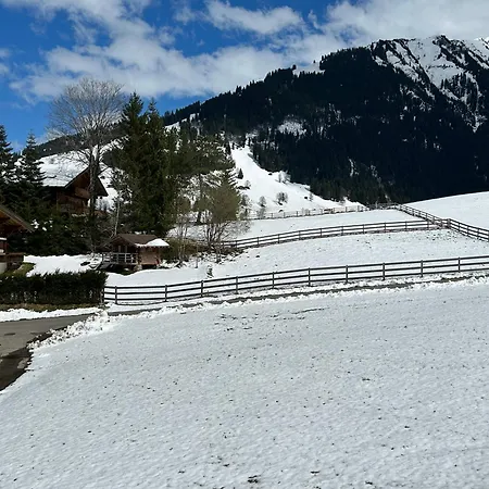 Alpenchalet Haldeli Apartment
