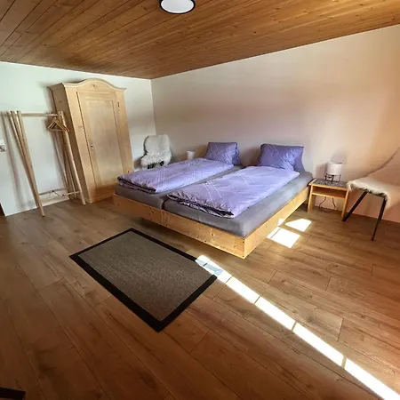 Alpenchalet Haldeli Apartment