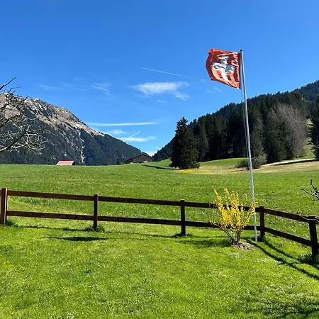 Alpenchalet Haldeli Gstaad