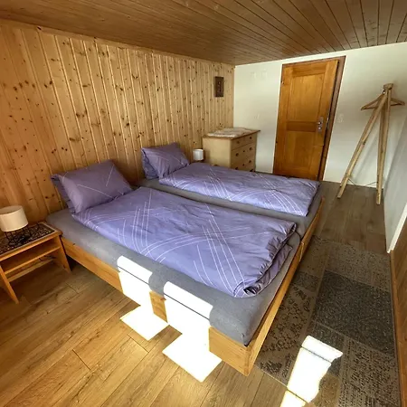 Alpenchalet Haldeli Apartment