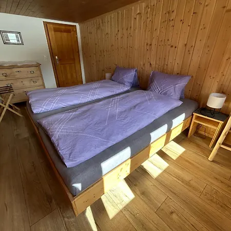 Alpenchalet Haldeli Apartment *
