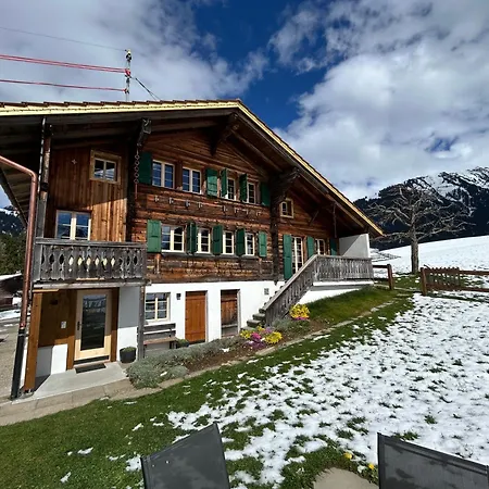 Apartment Alpenchalet Haldeli Gstaad